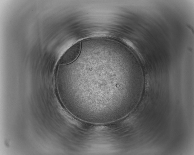 X0000102281467200808011439