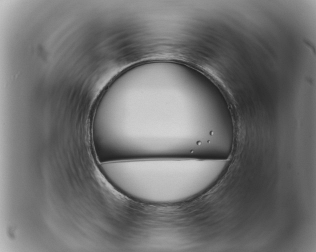 X0000102281468200808011439
