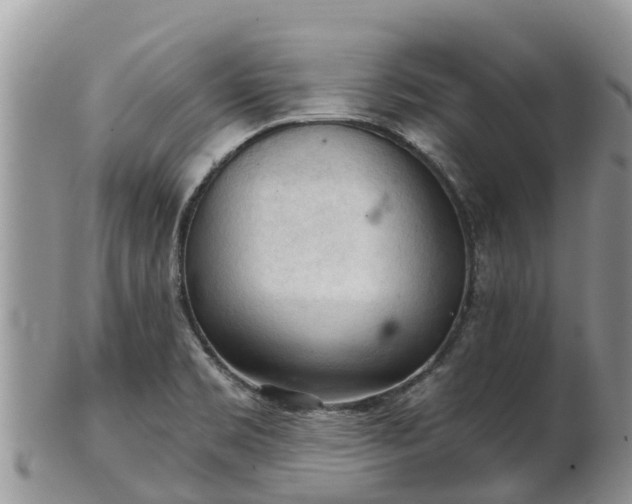 X0000102281469200808011439