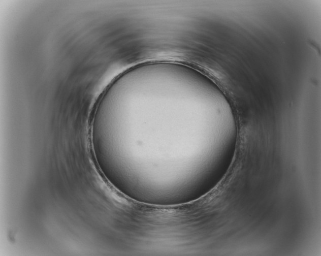 X0000102281470200808011439