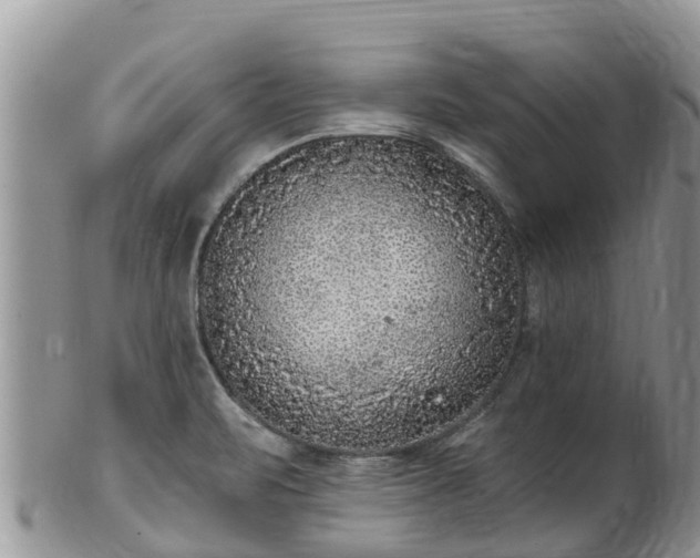 X0000102281471200808011439