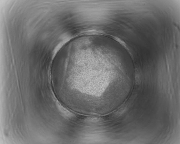 X0000102281474200808011439