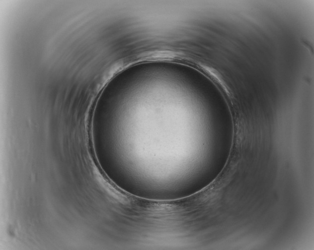 X0000102281475200808011439