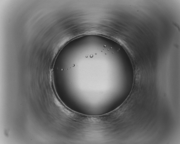 X0000102281476200808011439
