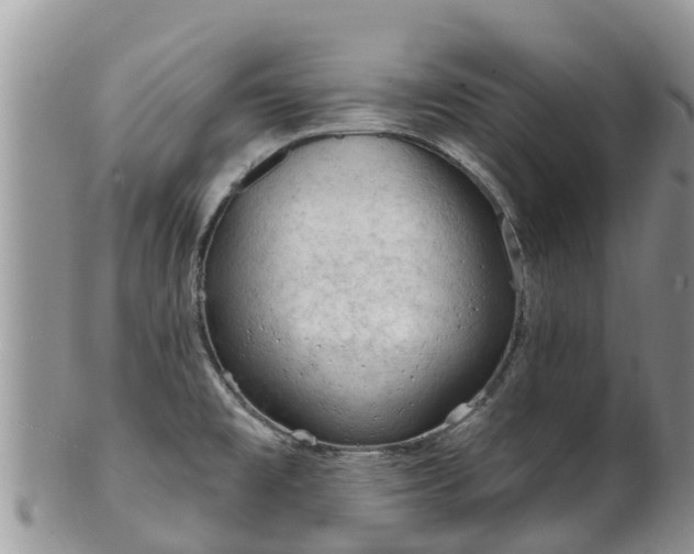 X0000102281477200808011439