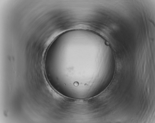 X0000102281478200808011439