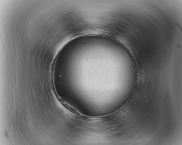 X0000102281483200808011439