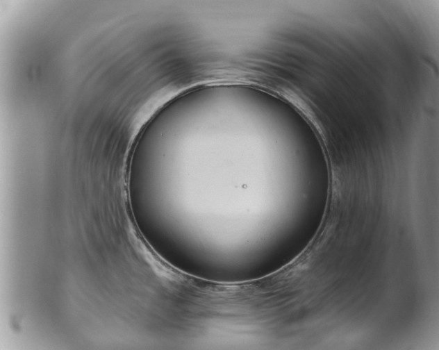 X0000102281485200808011439