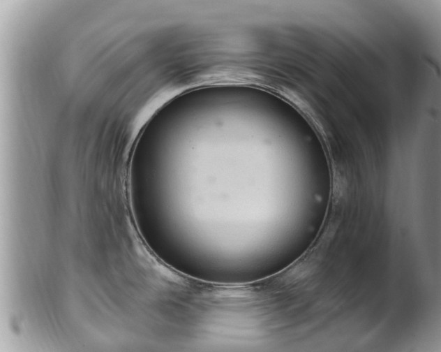 X0000102281486200808011439
