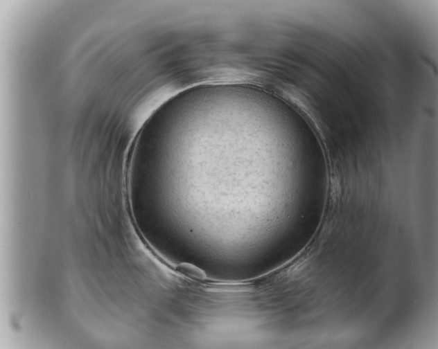 X0000102281487200808011439