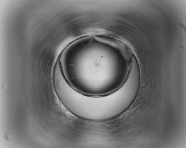 X0000102281488200808011439