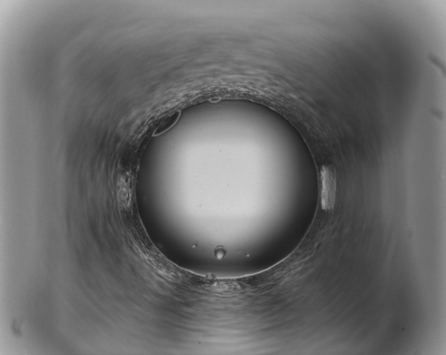 X0000102281491200808011438