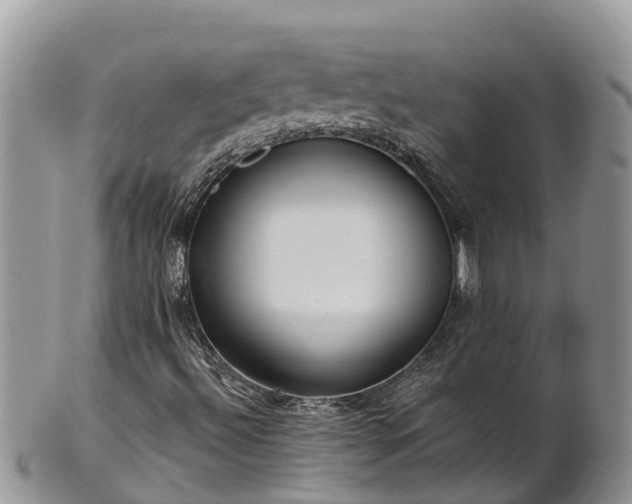 X0000102281492200808011438