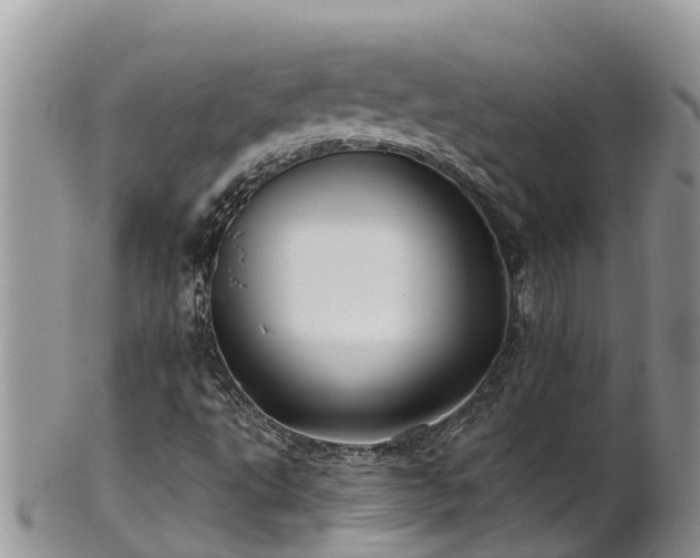 X0000102281495200808011438