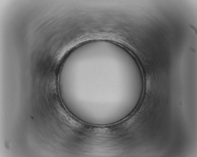 X0000102281498200808011438