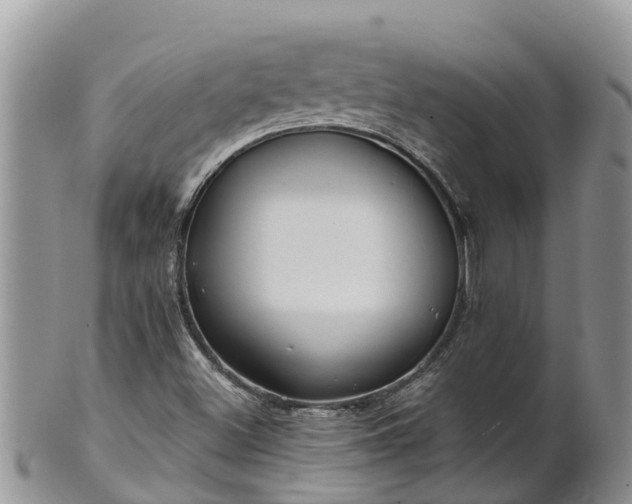 X0000102281500200808011438