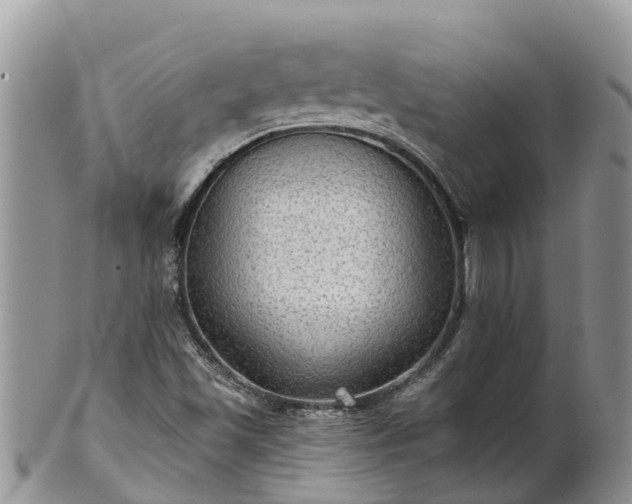 X0000102281501200808011438