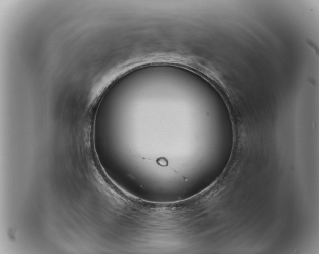 X0000102281504200808011438