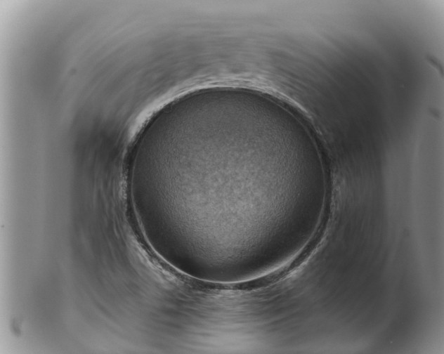 X0000102281506200808011438