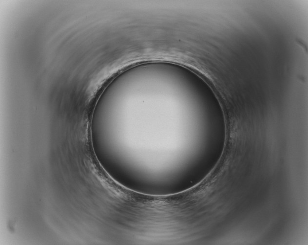 X0000102281507200808011438