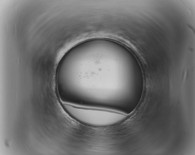 X0000102281512200808011438
