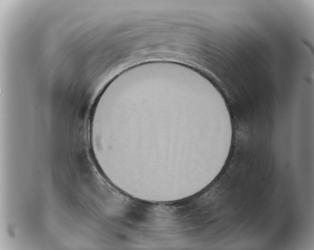 X0000102281514200808011438