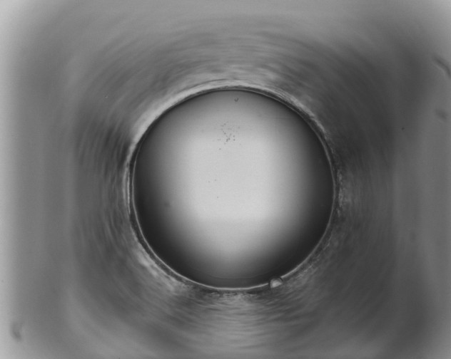 X0000102281516200808011438