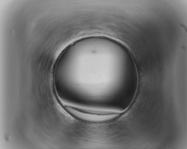 X0000102281518200808011438