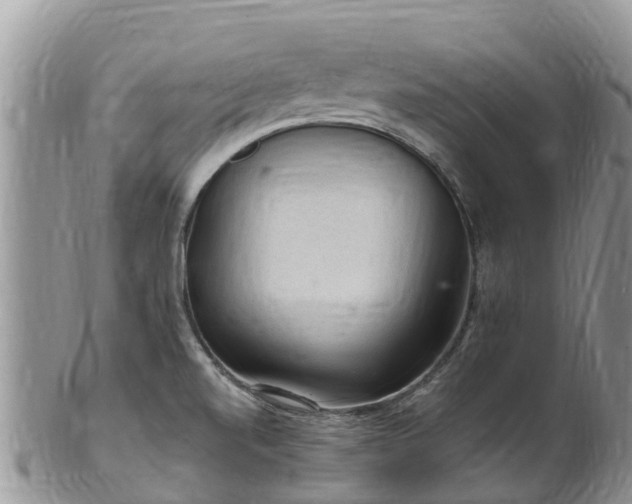 X0000102281520200808011438