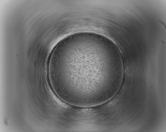 X0000102281523200808011438