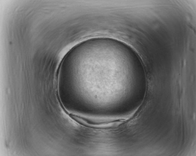 X0000102281527200808011439