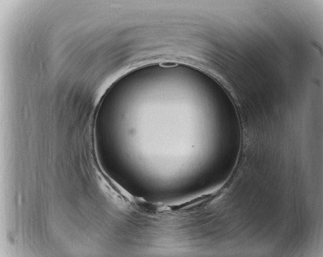 X0000102281530200808011439