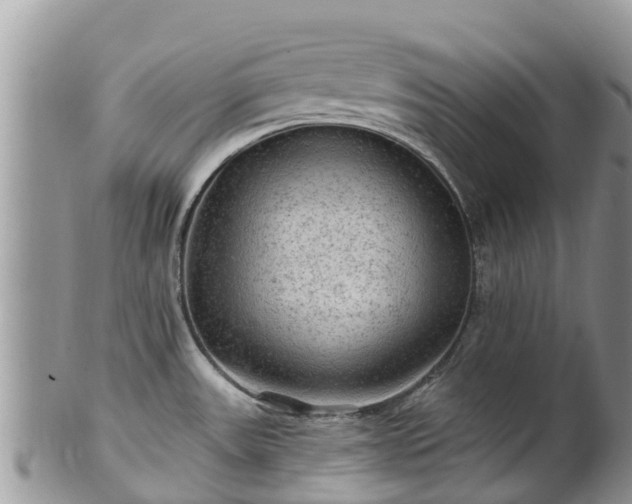 X0000102281531200808011439