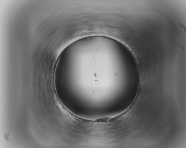 X0000102281534200808011439