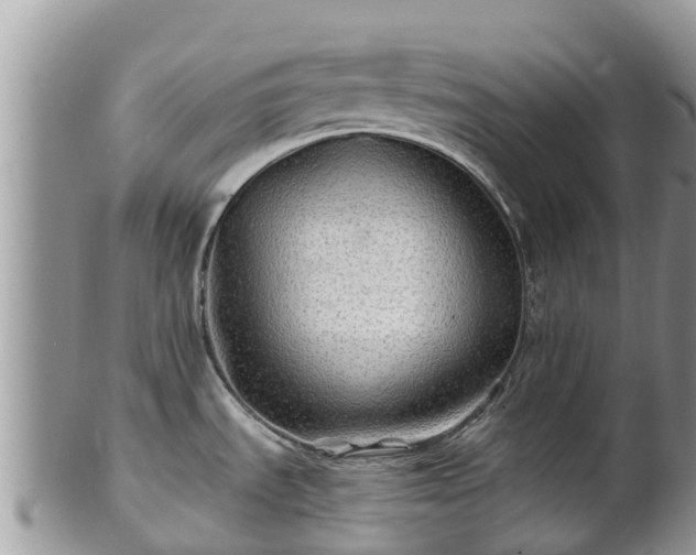 X0000102281535200808011439