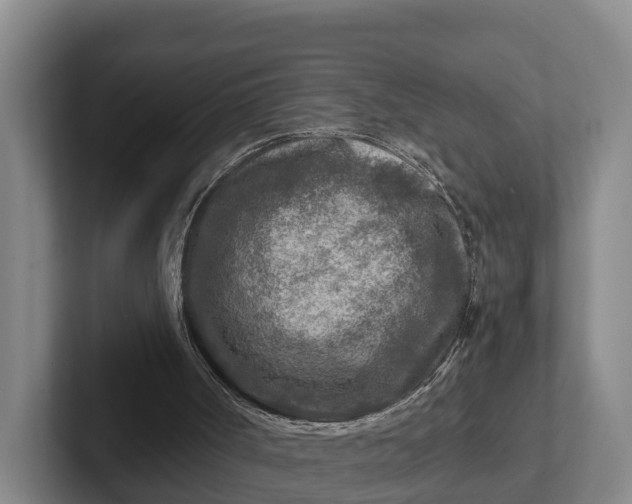 X0000102280002200808081512