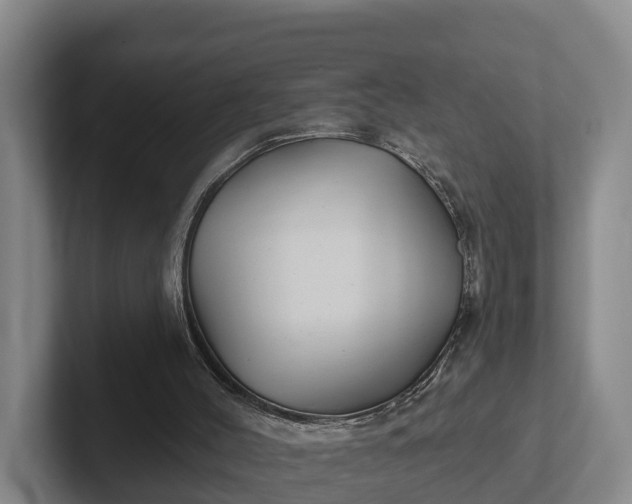 X0000102280004200808081512