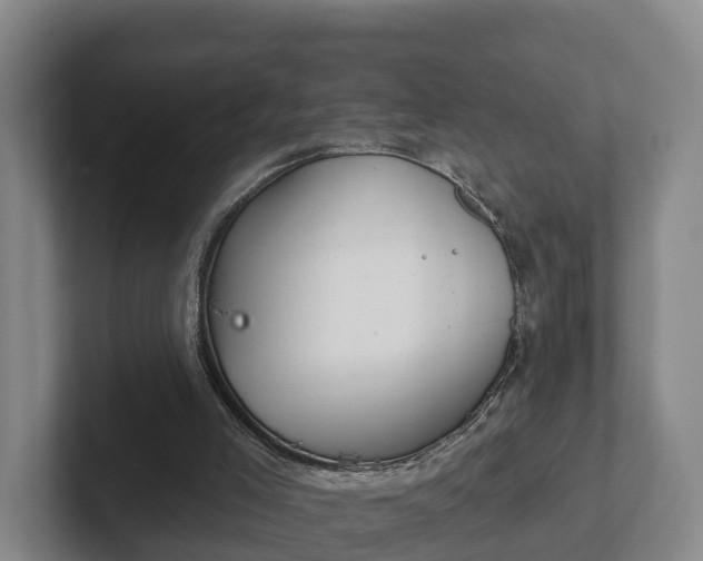 X0000102280005200808081512