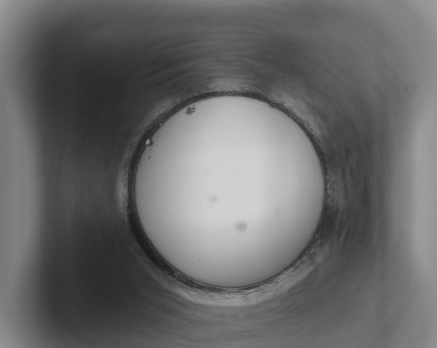 X0000102280015200808081512