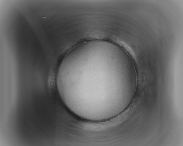 X0000102280017200808081511