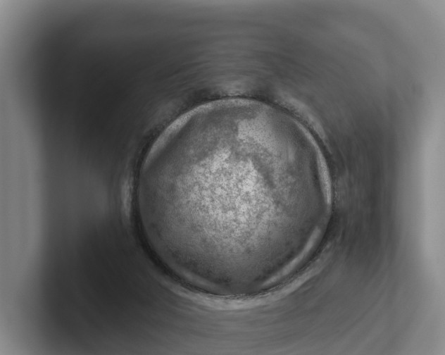 X0000102280018200808081511