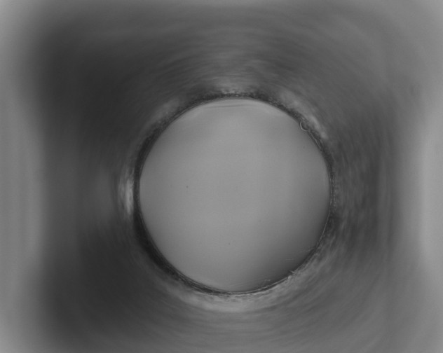 X0000102280019200808081511