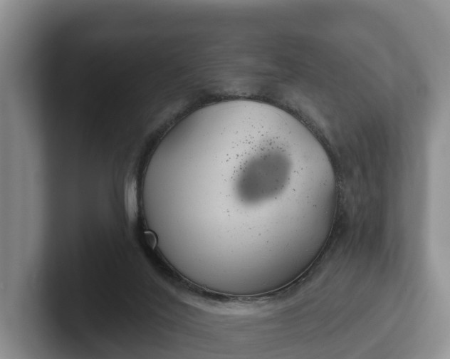 X0000102280020200808081511