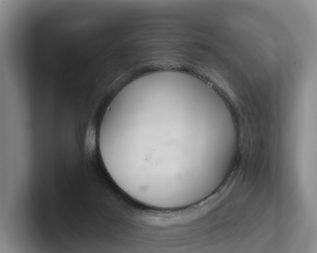 X0000102280021200808081511