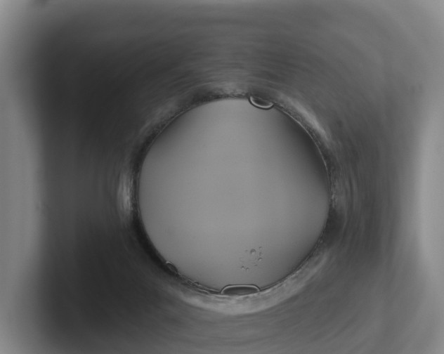 X0000102280023200808081511