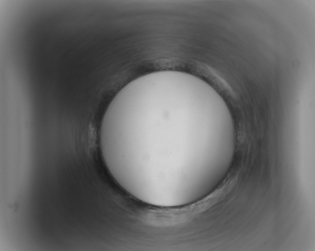 X0000102280025200808081511