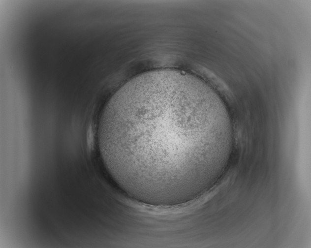 X0000102280026200808081511