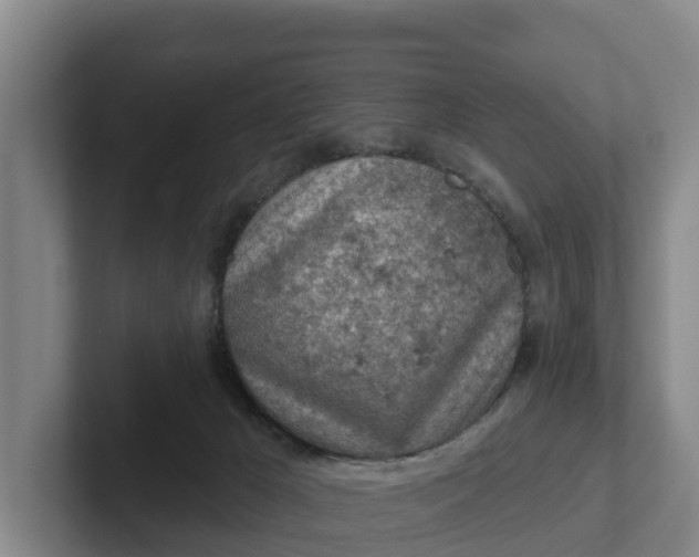 X0000102280029200808081511