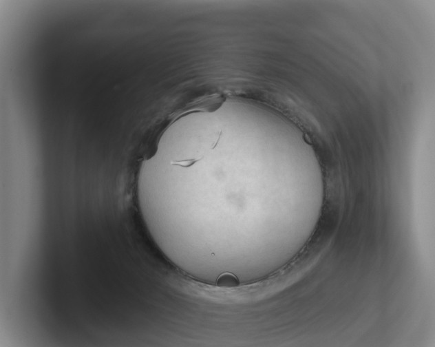 X0000102280030200808081511