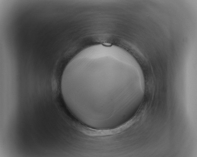 X0000102280031200808081511